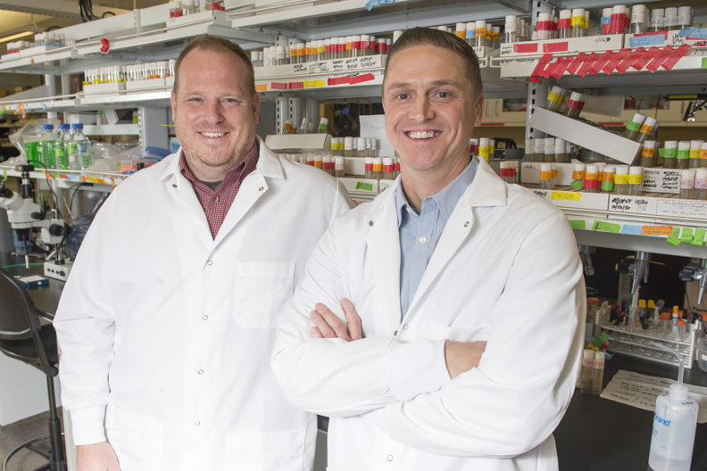 Closeup of Gerstner and Vanderheyden in fruit fly lab at WSU Spokane.
