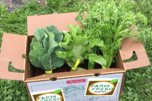 View of leafy greens inside a Farm Fresh Food Box.