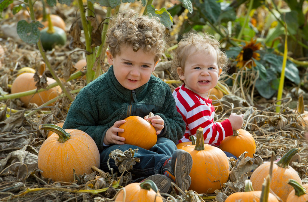 Young boy and girl sitting in a pumpkin patch.