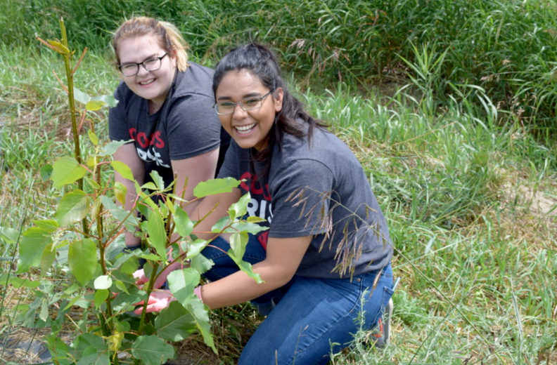 Two female students tend to a plant in a garden.