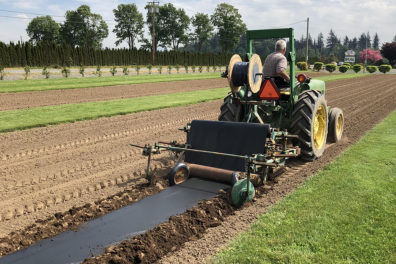 Tractor in field laying down biodegradable mulch.