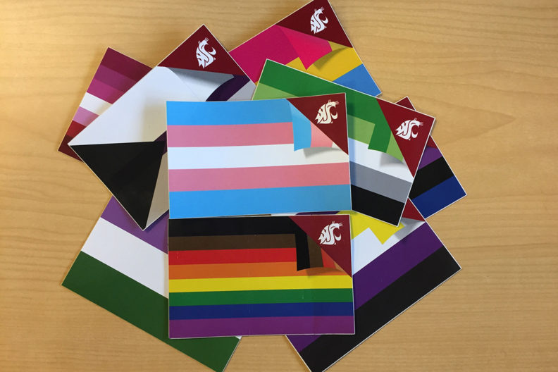 Assortment of pride flags representing LGBTQ.