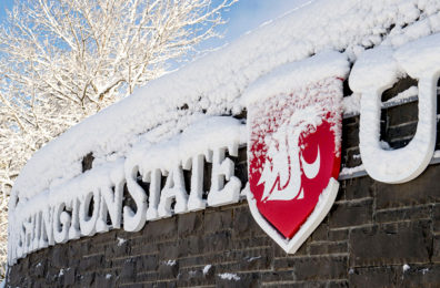 WSU sign at entrance to Pullman campus covered in snow.
