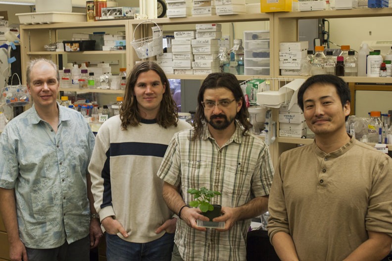 four researchers in lab, one holding a research plant specimen
