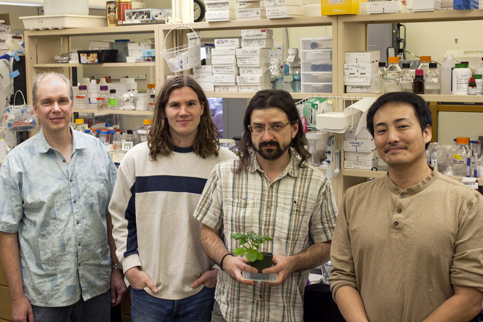 Researchers in lab, one holding a plant specimen.