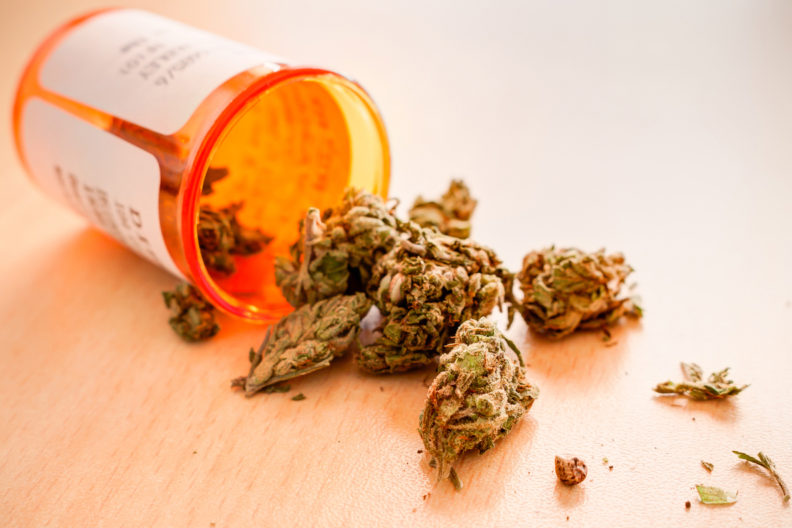 A prescription bottle of medicinal marijuana.