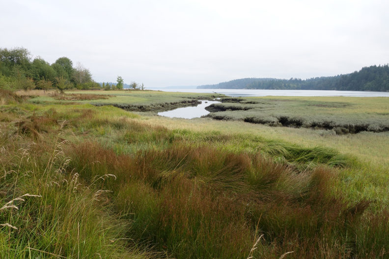 Meyer's Point area with Puget Sound waters and estuary.