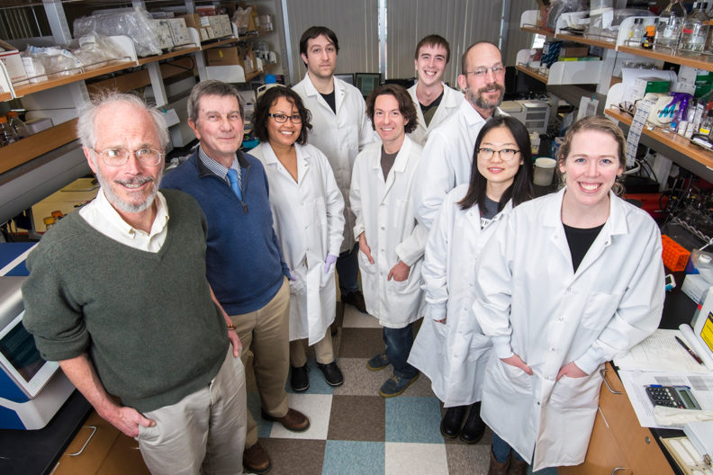 Team of pharmaceutical researchers in a lab.
