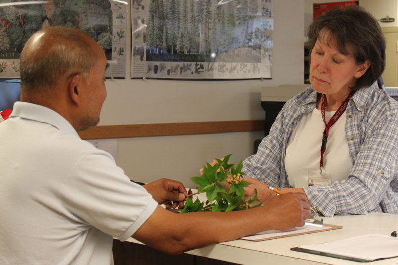 A gardner with a plant talking to a volunteer.