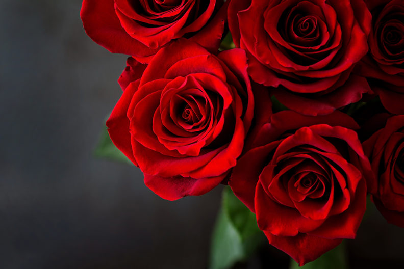 Closeup of a bouquet of red roses.