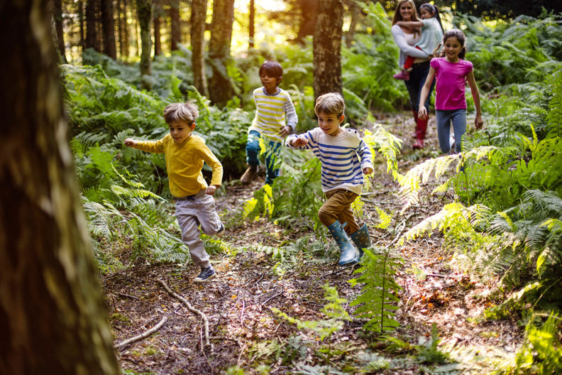 Children running through a forest.