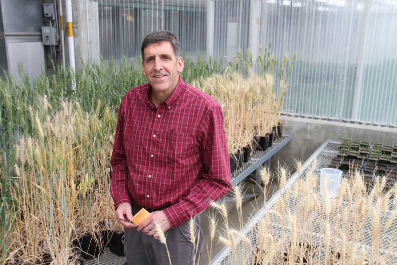 New CAHNRS Associate Dean for Research Scot Hulbert