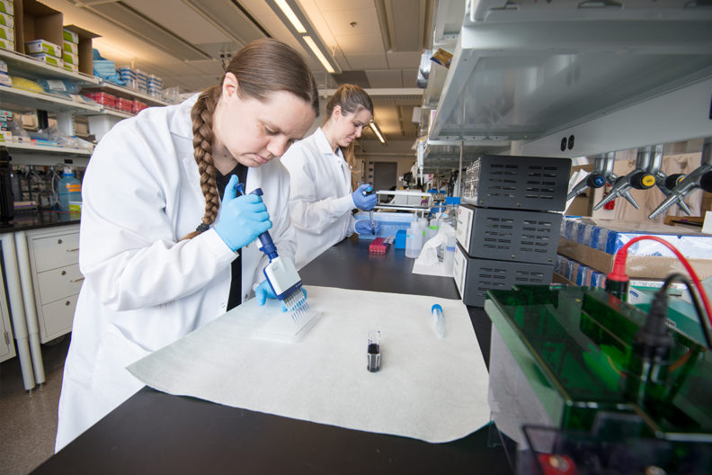 Neuroscientists Hannah Schoch and Ashley Ingiosi investigate the genetic basis of sleep problems in autism in the Peixoto laboratory at WSU Health Sciences Spokane.