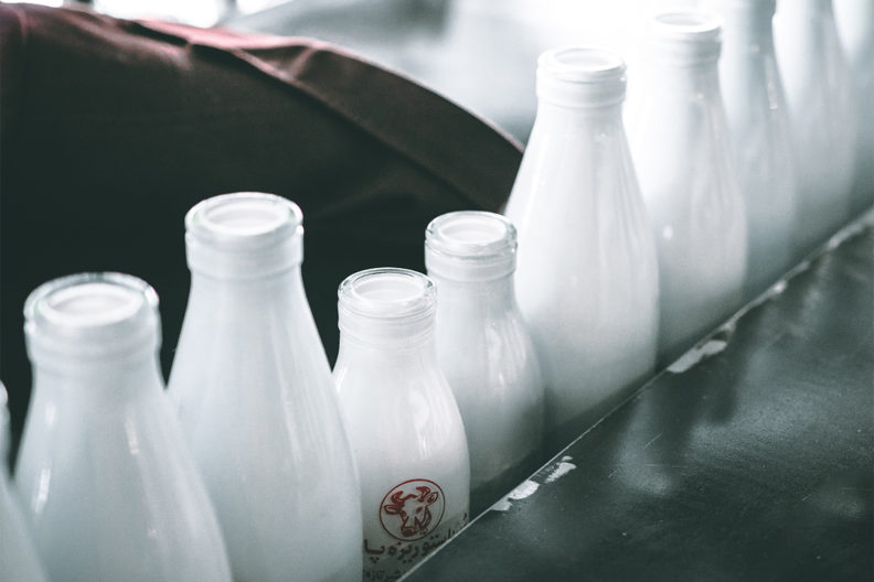 A row of milk bottles.
