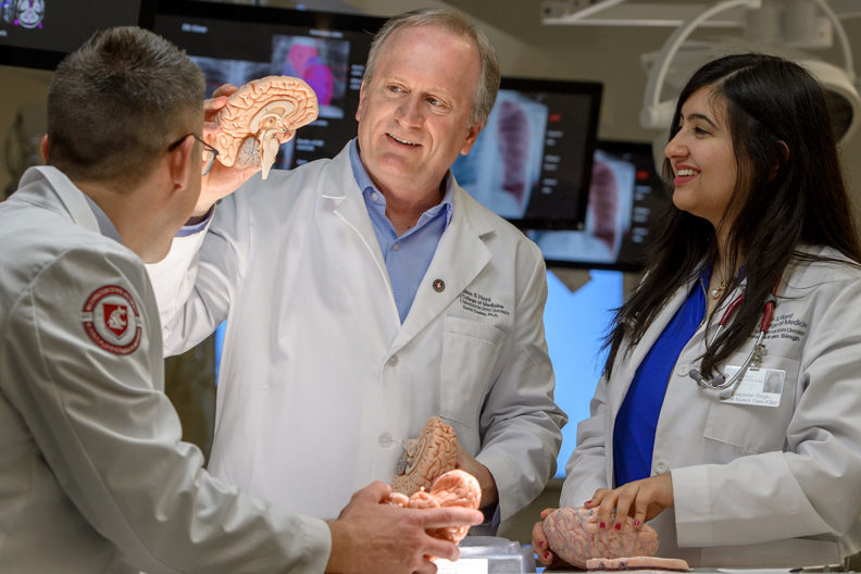 An instructor holds a model of a human brain for two medical students.