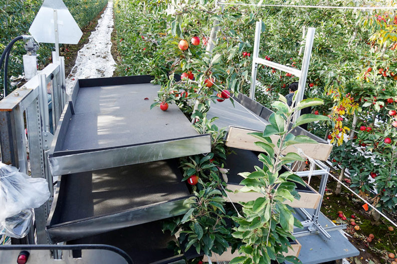 A shake harvester being tested in the field.