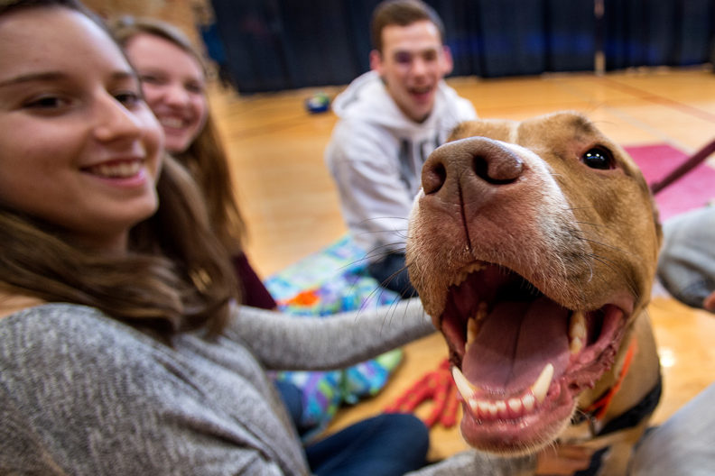 A group of students interacts with a dog.