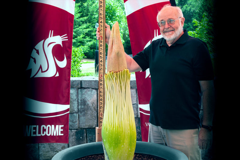 Closeup of Steve Sylvester and his corpse flower, Titan VanCoug.