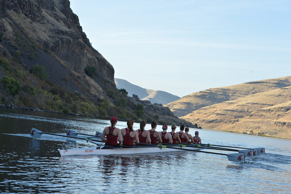 Rowers on the water