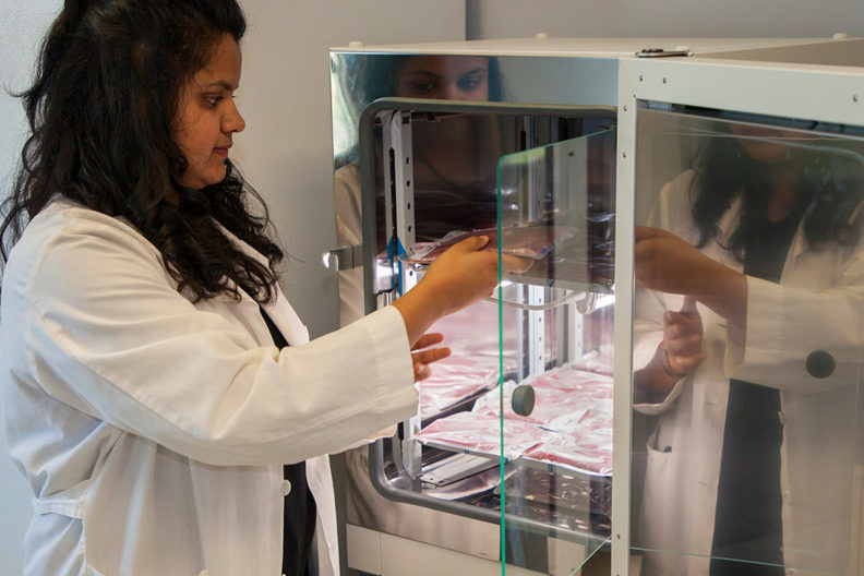 Juhi Patel places packages in an incubator.