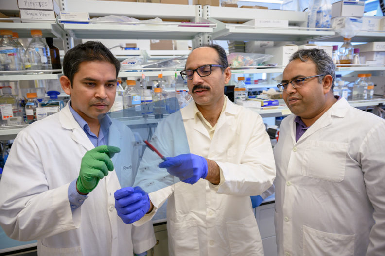 Three researchers discussing a protein array.