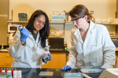 Two researchers work in a laboratory