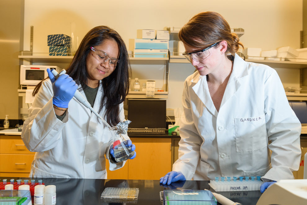 Two researchers work in a laboratory