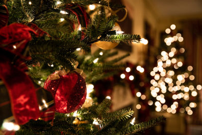 Closeup of a decorated Christmas tree with another decorated tree in the background.