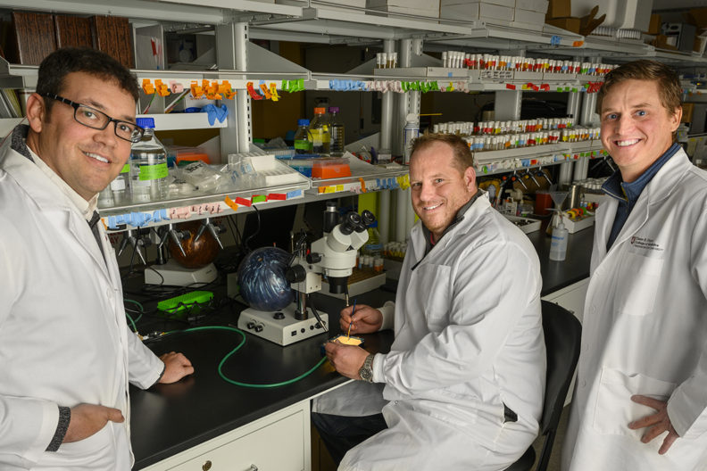 Chris Davis, Jason Gerstner, William Vanderheyden in lab