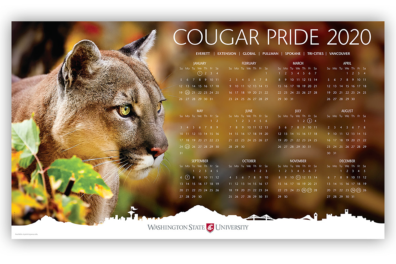 2020 calendar with a cougar photo along left side