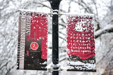 Snow-covered banners on a pole advertising all of the WSU campuses.
