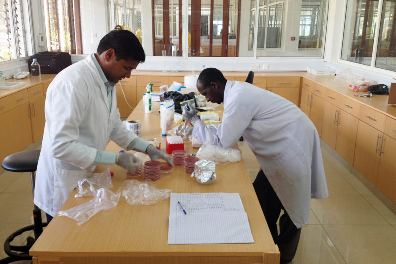 Murugan Subbiah (left) and Beatus Lyimo process fecal samples.