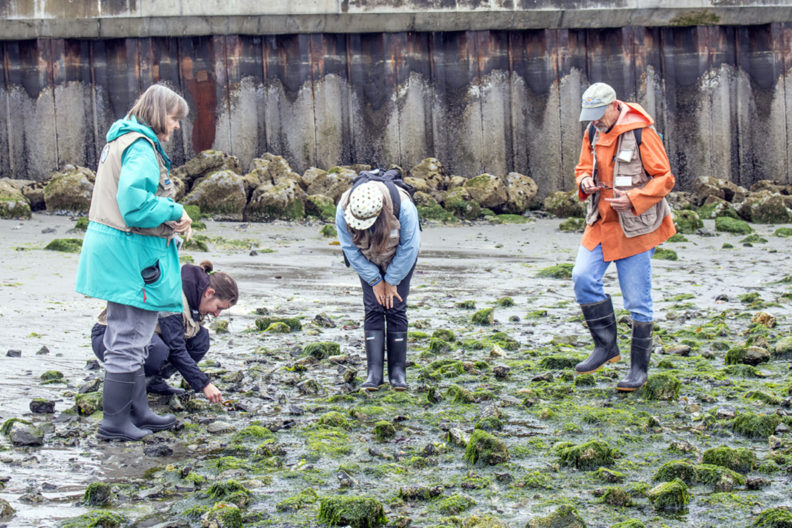 People doing environmental work on a beach