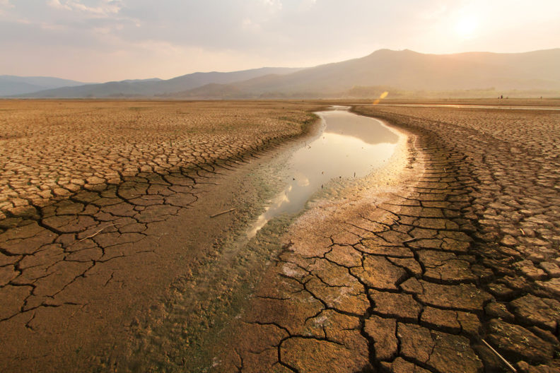 A desert with a dry and cracked riverbed running through it.