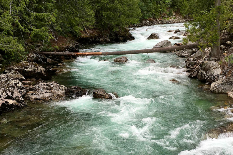 A fast-moving river in a forest.