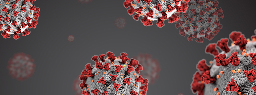 2019 Novel Coronavirus SARS-CoV-2.