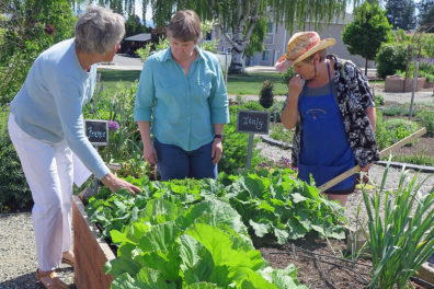 Three women examine and discuss the contents of a raised garden bed.