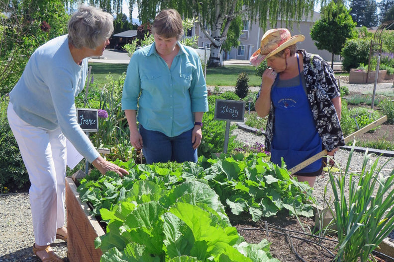 Three women examine and discuss the contents of a raised garden bed.