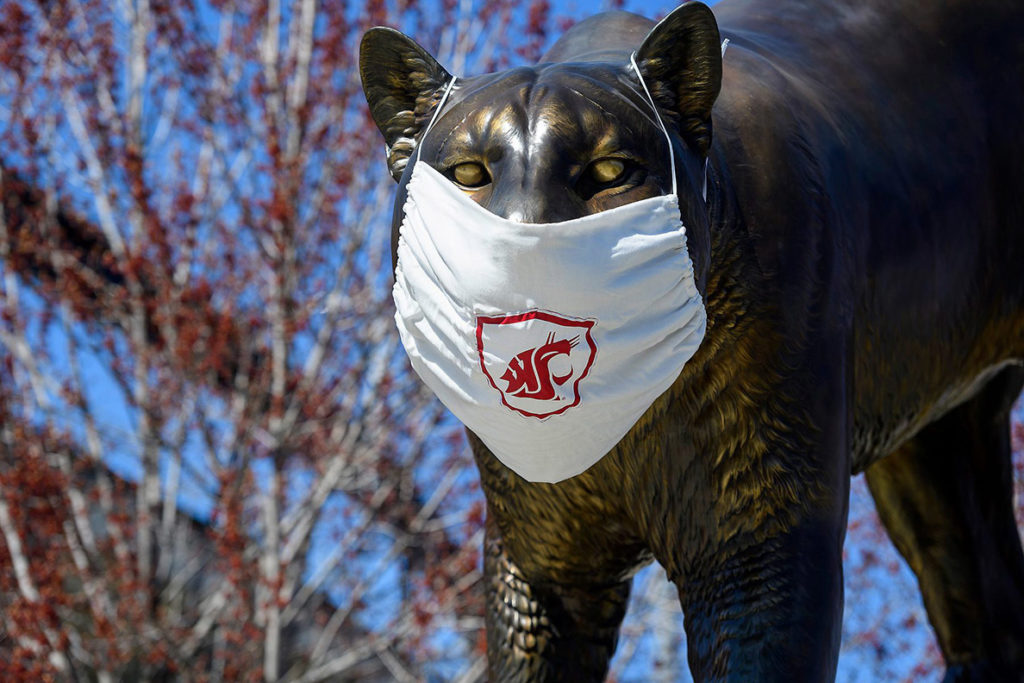 WSU requires face masks while on campus WSU Insider Washington