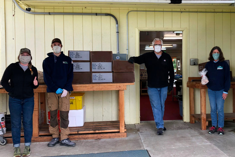 Volunteers delivering boxes of fish to a food bank.