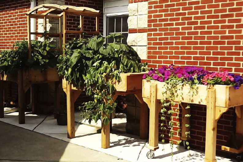 Raised garden beds lined up against a brick wall.