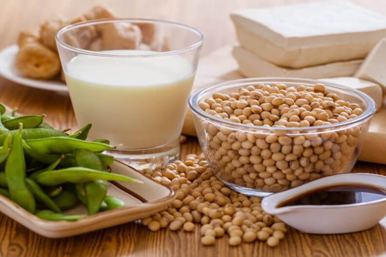 A variety of soy products, soy beans, soy milke, soy sauce and tofu arranged on a table