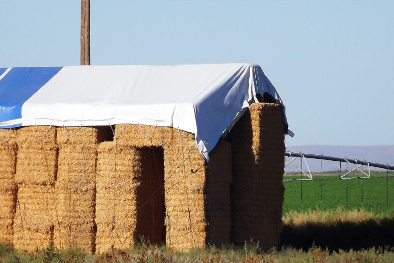 A stack of alfalfa hay