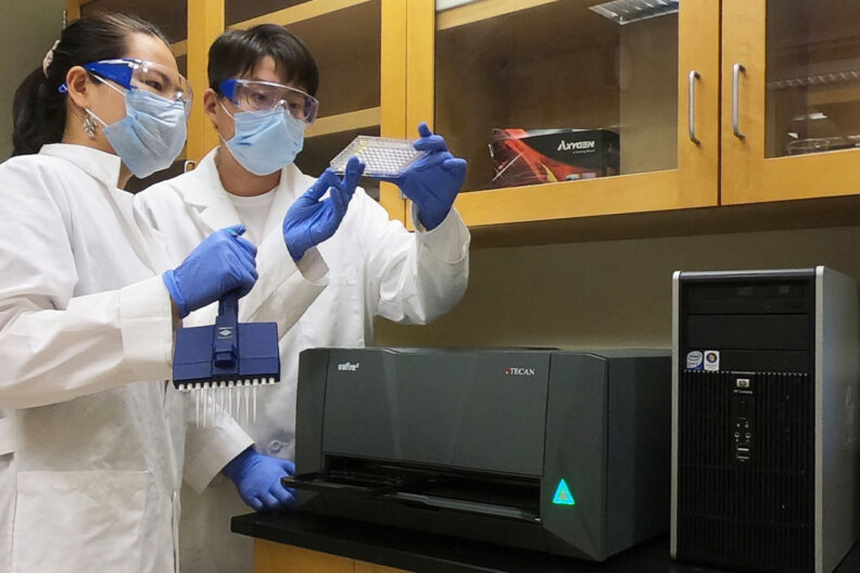 Two PhD students work in a laboratory.