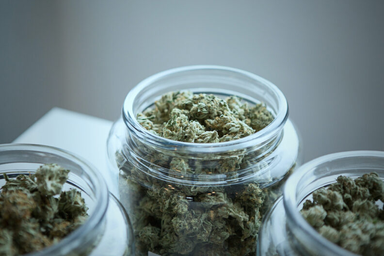 Glass jars of cannabis.