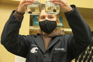 An Ag Ed student performs a lab experiment.