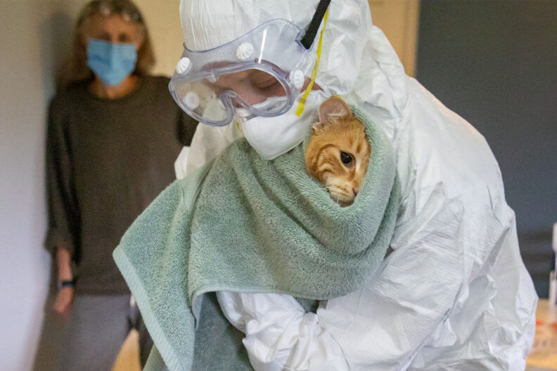 Dr. Katie Kuehl holds a cat while wearing protective gear.