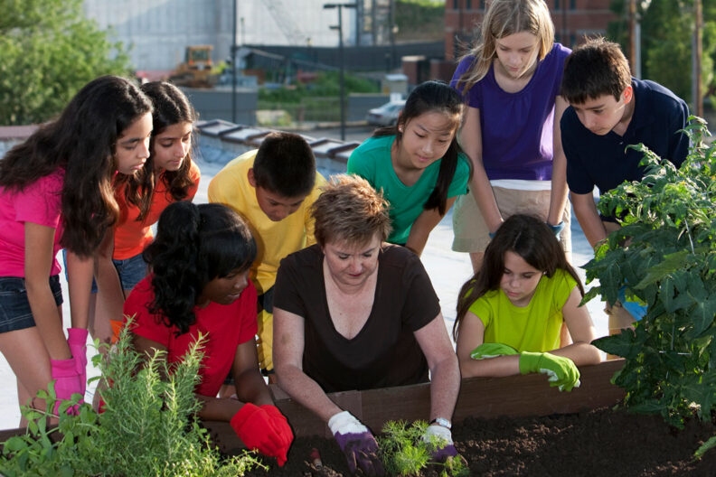 A teacher shows young students how to grow plants