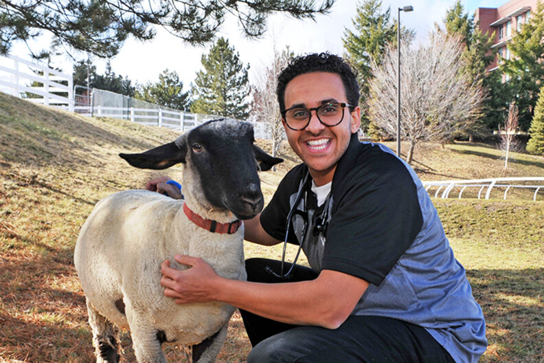 Michael Micheal kneeling next to a sheep.