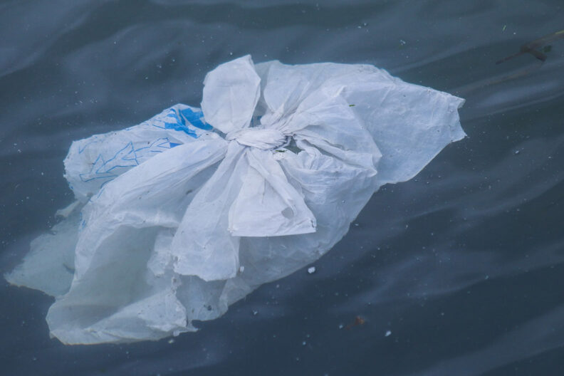 Plastic shopping bag floating in water.